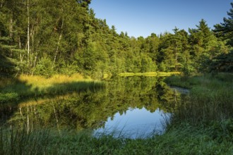 Diana See in the Ahlhorner Fischteiche Nature Reserve, Wildeshausener Geest, Ahlhorn, Lower Saxony,