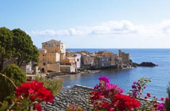 Erbalunga fishing village, Cap Corse, Haute-Corse Department, Corsica, Mediterranean Sea, France