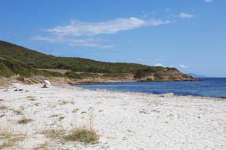 Plage de Tamarone sandy beach, Cap Corse, Haute-Corse Department, Corsica, Mediterranean Sea,