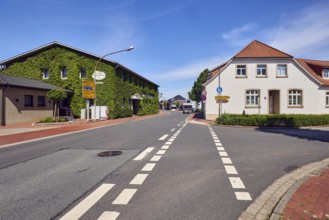 Historic residential and commercial buildings, Wellmann Inn, Boston ivy (Parthenocissus