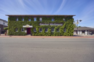 Gasthof Wellmann, building, Boston ivy (Parthenocissus tricuspidata), lantern, pavement, blue sky,