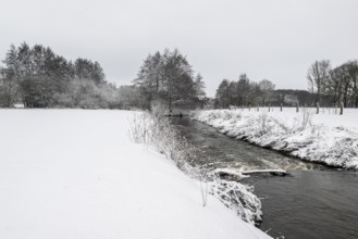Winter landscape with black alder (Alnus glutinosa) along a ditch, Emsland, Lower Saxony, Germany