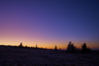 Sunset with tree silhouettes and colorful sky in purple and orange, European beech, winter,