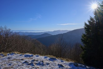 Clear landscape with snow-capped mountains and bright blue sky, view of the Rhine Valley,