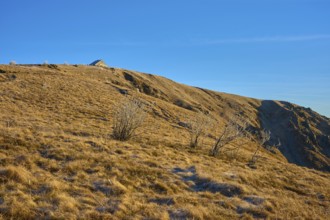 Barren hills with grasses under clear sky and no snow cover, morning, winter, Hohneck, La Bresse,