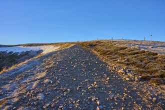 A snowy mountain trail under a clear sky with barren grasses, morning, winter, Hohneck, La Bresse,