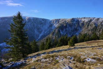 Snowy mountain landscape with spruce trees in the foreground, viewpoint, Martinswand, Frankental,