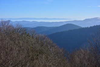 Gentle mountain silhouettes stretch into the distance under a clear sky, morning, viewing, Rhine