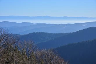View of tiered mountain ranges with calm sky and forest, morning, view, Rhine Valley, Martinswand,