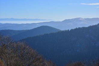 View of foggy mountain ranges and forests under clear sky, morning, viewing direction, Rhine