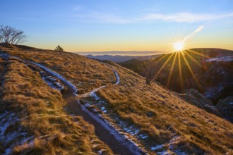 A snow-lined path through the meadow landscape in the light of sunrise, looking towards the Rhine