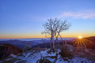 A lonely tree stands on a rocky landscape as the sun rises over the mountains, looking towards the