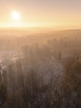Forest landscape with trees and soft morning light fog, old deposit, construction site for PV open