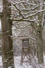 High seat in snow-covered forest landscape in winter, Briesetal, Barnim nature park Park,