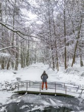 Aerial view, drone photo: Man hiking standing on a bridge over the Briese river in the forest in
