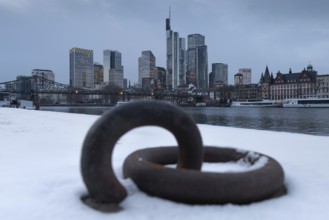 The towers of the Frankfurt banking skyline rise behind the snow-covered banks of the Main,