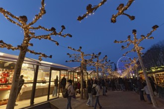 Christmas market in Düsseldorf's old town, Roncalli's Christmas promenade, evening, Düsseldorf,