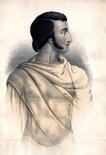 Medical illustration, cross section of the human organism to facilitate the study of anatomy and