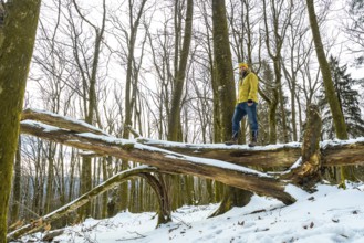 Man wearing winter clothing standing on a large fallen tree trunk covered with snow, enjoying a
