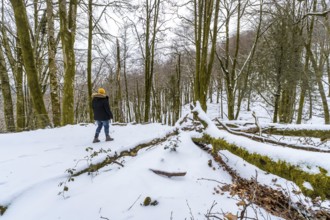 Person in warm clothing walks through a quiet snow covered forest surrounded by tall bare trees and