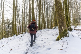 Person walking uphill through a snow covered forest with tall, mossy trees and footprints in the