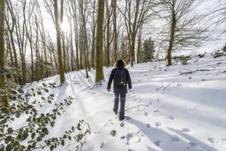 Person walking alone in a peaceful snow covered forest during winter, enjoying a serene outdoor