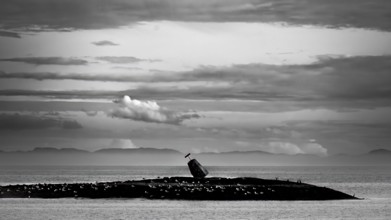 Kiberg, Troms, Norway, A sea mark on a rock in the sea in a dramatic black and white photo