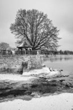 The island channel on the banks of Lake Constance, Dominican Island, black and white photography,