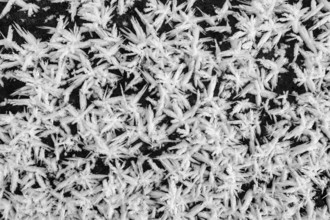 Ice crystals, filling formats on the lakeside, black and white photography, Radolfzell am Lake