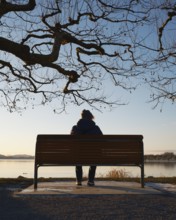 A person sits alone on a bench by the lake, surrounded by wintry bare trees and a quiet sunset,