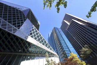 USA, Seattle financial and business district skyline in city downtown