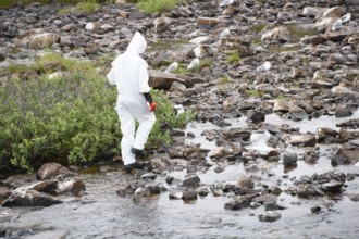 Person in a protective suit, protective mask and goggles looking for dead kittiwakes (Rissa