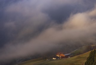 Agricultural landscape with farms rising out of a sea of fog, inversion weather, Mondseeland,
