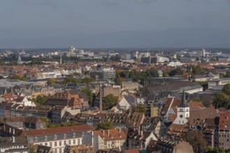 The stone balcony offers a view of the city of Strasbourg. Houses and buildings can be seen under a