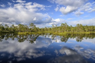 A clear moor lake with tree reflection under a cloudy sky, Hällefors, Örebro län, Sweden
