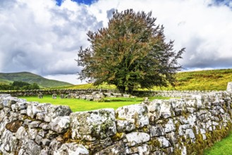The Chapel at Hermitage, Hermitage Castle, Hermitage Water, Liddesdale, Roxburghshire,