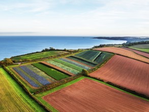 Colours of autumn Fields and Farms over Sheldon from a drone, Torbay, Devon, England, United