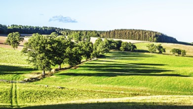 Scottish fields and farms, Southeast Scotland, UK