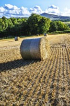 Straw bales in the Scottish fields, Southeast Scotland, UK