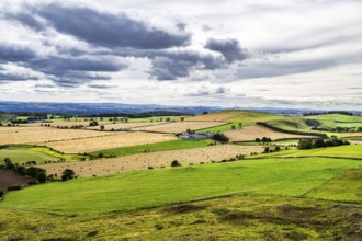 Scottish fields and farms, Southeast Scotland, UK