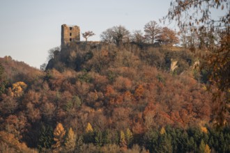 Neideck ruin with autumn forest in evening light, Wiesenttal, Upper Franconia, Bavaria, Germany