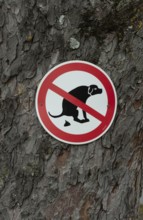 Issoire. Pillar (The Annunciation made to Mary) . The figures are illuminated by colorful light