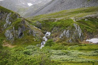 Highlands with a small waterfall and lush vegetation between rocky slopes, Berlevåg, Finnmark,