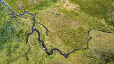 Aerial view of green fells and moorland crossed by streams, river traversing lush, green landscape