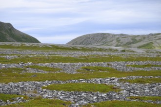 Old beach walls with a mix of grass and rocks under a cloudy sky, Store Molvik, Berlevåg, Finnmark,