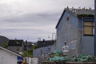 Industrial building Fishing building for processing king crabs (Paralithodes camtschaticus) with
