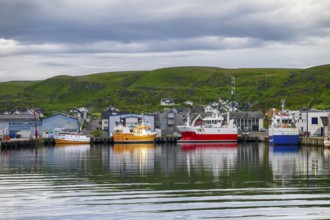 Fishing boats Fishing vessels are moored in Berlevag harbour in the north of the Varanger Peninsula