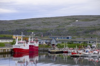 Fishing boats Fishing vessels are moored in Berlevag harbour in the north of the Varanger Peninsula