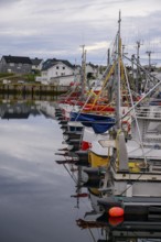 Fishing boats Fishing vessels are moored in Berlevag harbour in the north of the Varanger Peninsula