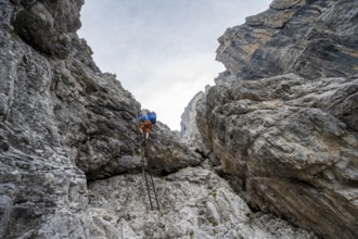 Mountaineer climbing a ladder, Via Ferrata SOSAT via ferrata, Brenta Mountains, Trentino, Italy